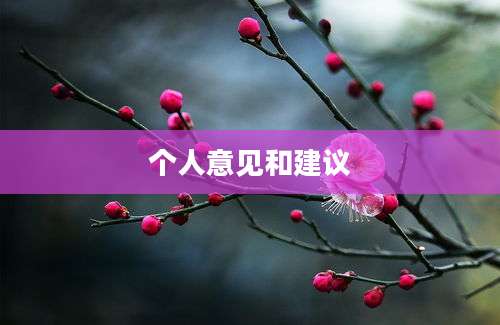 个人意见和建议