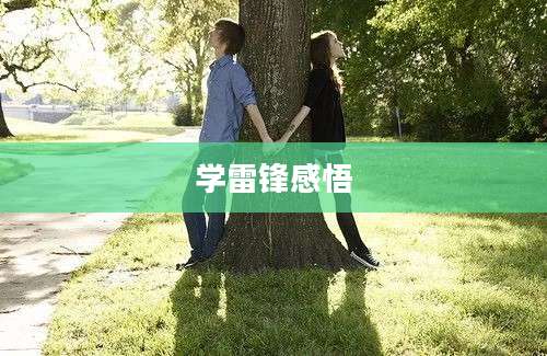 学雷锋感悟