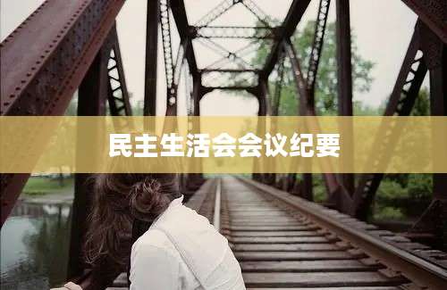 民主生活会会议纪要