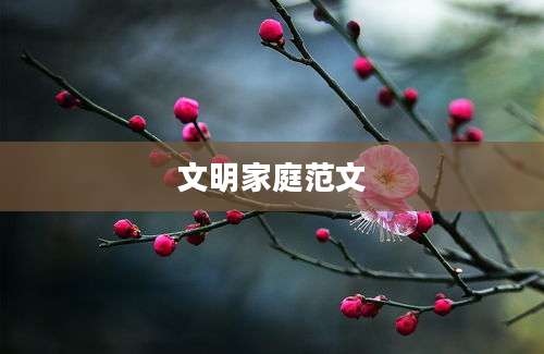 文明家庭范文