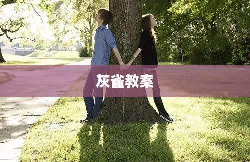 灰雀教案