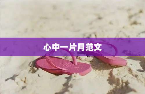心中一片月范文