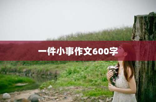 一件小事作文600字