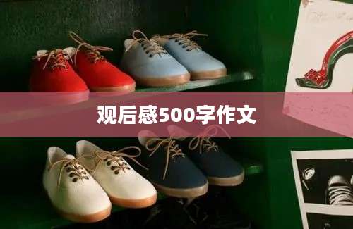 观后感500字作文