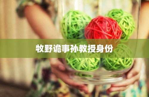 牧野诡事孙教授身份
