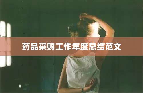 药品采购工作年度总结范文