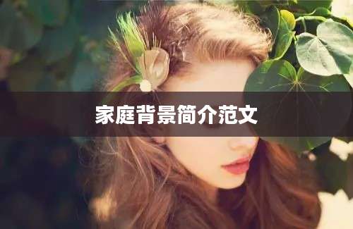 家庭背景简介范文