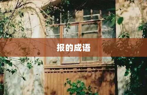 报的成语