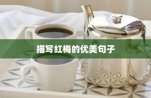 描写红梅的优美句子