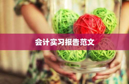 会计实习报告范文