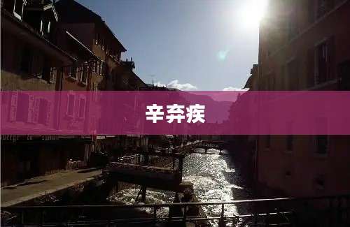 辛弃疾