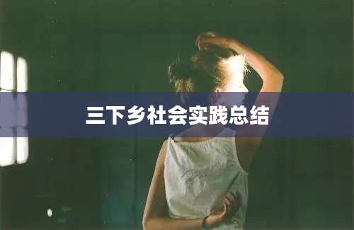 三下乡社会实践总结