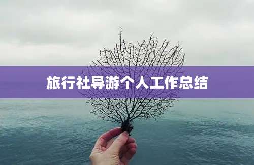 旅行社导游个人工作总结
