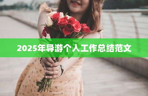 2025年导游个人工作总结范文