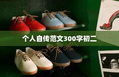 个人自传范文300字初二