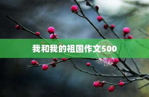 我和我的祖国作文500