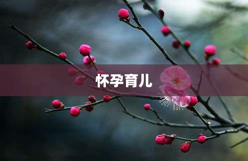 怀孕育儿