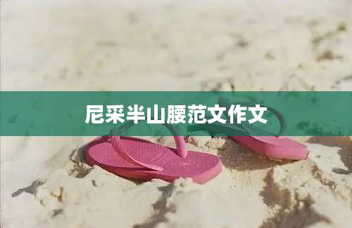 尼采半山腰范文作文