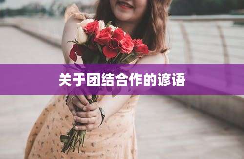 关于团结合作的谚语