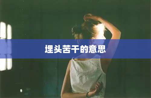 埋头苦干的意思