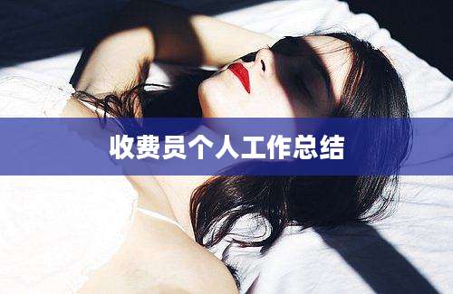 收费员个人工作总结