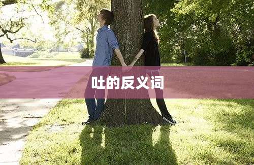 吐的反义词