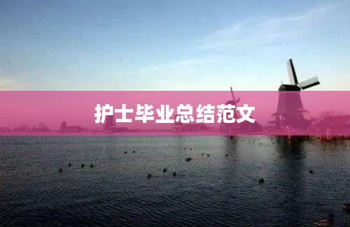 护士毕业总结范文