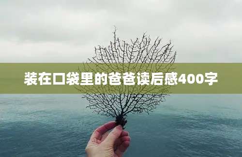 装在口袋里的爸爸读后感400字