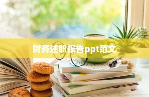 财务述职报告ppt范文