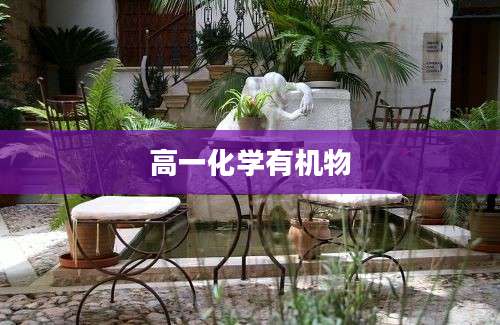 高一化学有机物