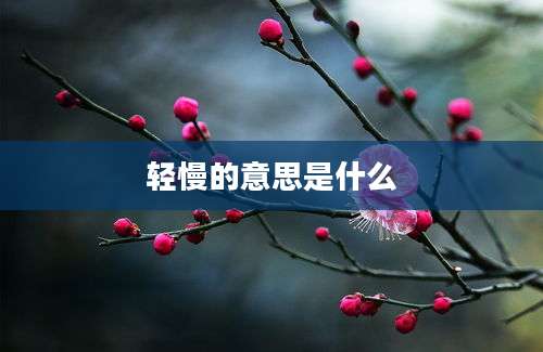 轻慢的意思是什么