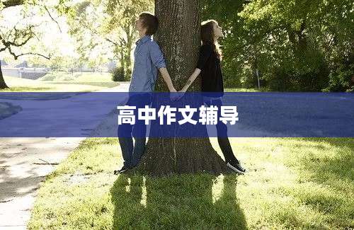 高中作文辅导
