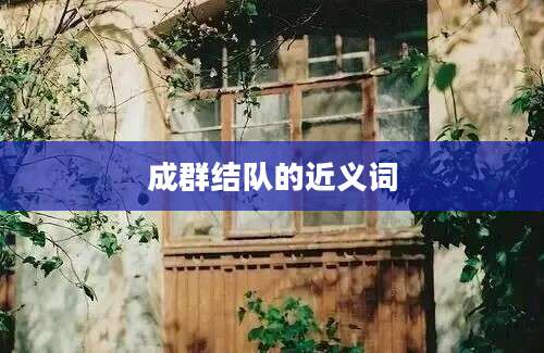 成群结队的近义词
