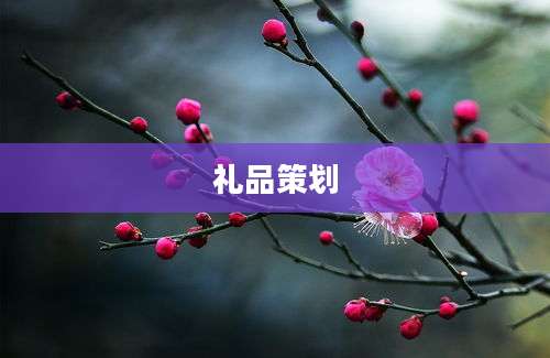礼品策划