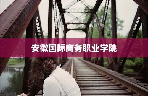 安徽国际商务职业学院