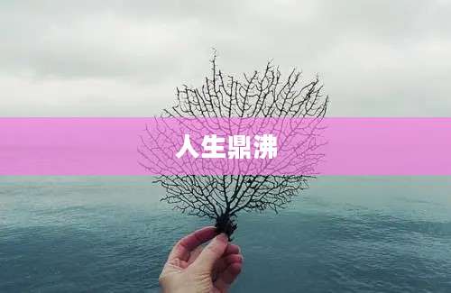 人生鼎沸