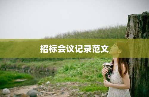招标会议记录范文
