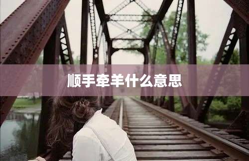 顺手牵羊什么意思