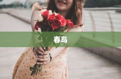 春鸟