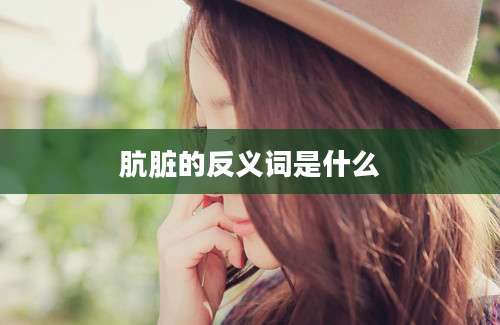 肮脏的反义词是什么