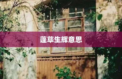 蓬荜生辉意思