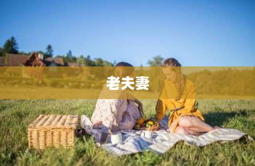 老夫妻
