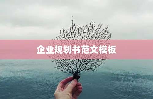 企业规划书范文模板