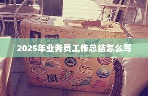 2025年业务员工作总结怎么写