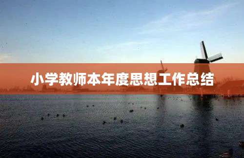 小学教师本年度思想工作总结