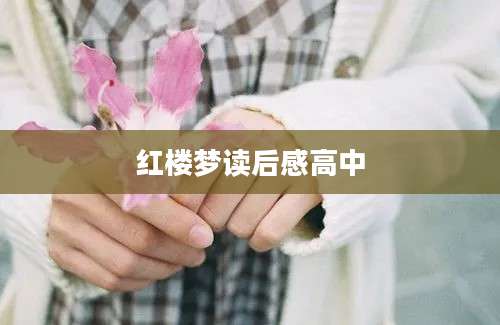 红楼梦读后感高中