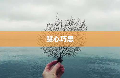 慧心巧思