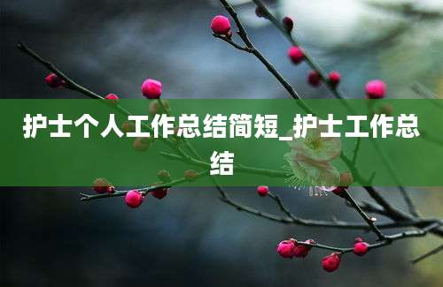 护士个人工作总结简短_护士工作总结