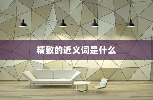 精致的近义词是什么
