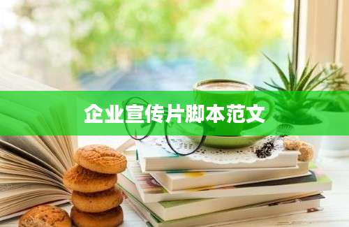企业宣传片脚本范文